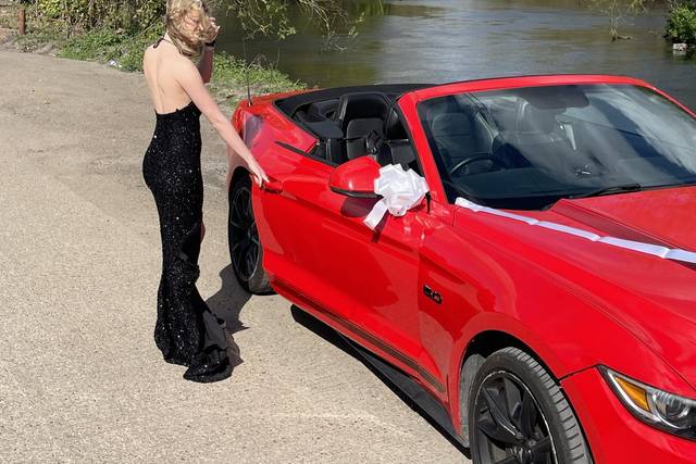 Red Mustang and bridge