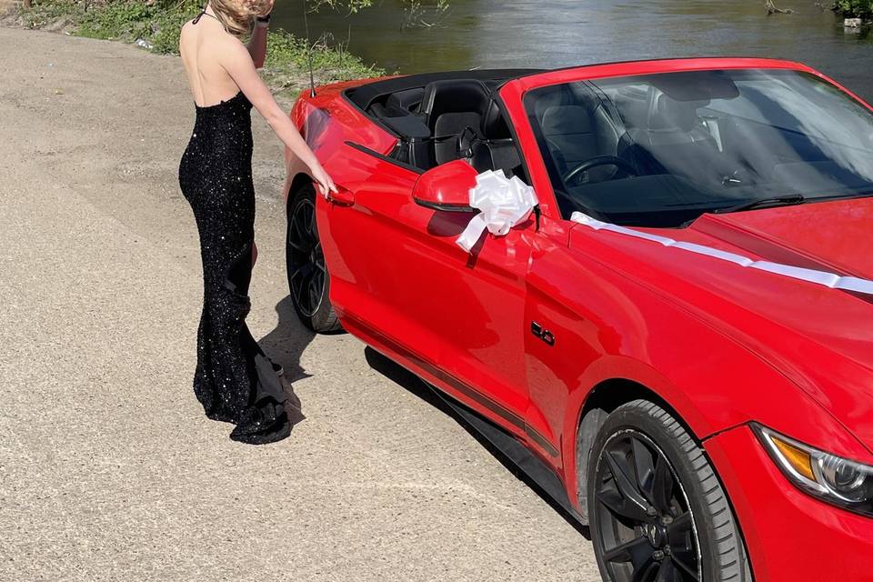 Red Mustang and bridge