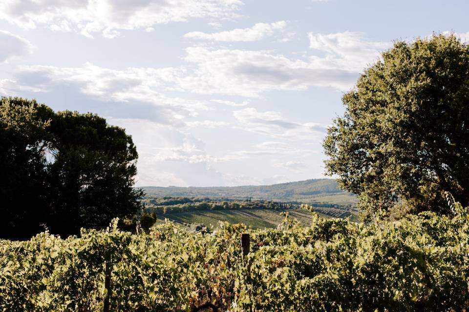 Chianti Hills