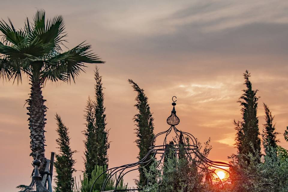 Sunset dipping below the trees