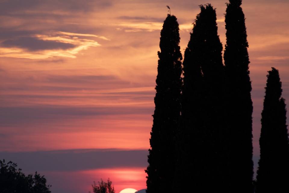 Tenuta Cipressi e Olivi