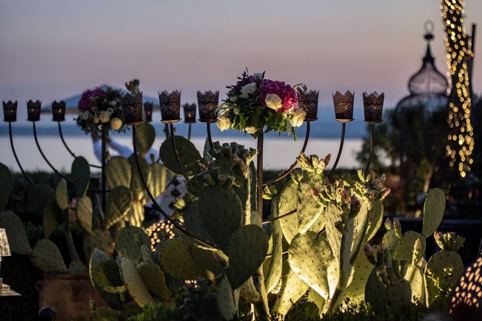 Tenuta Cipressi e Olivi