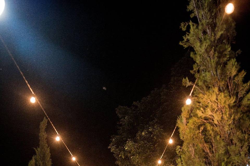 Romantic fairy-lit vibe.