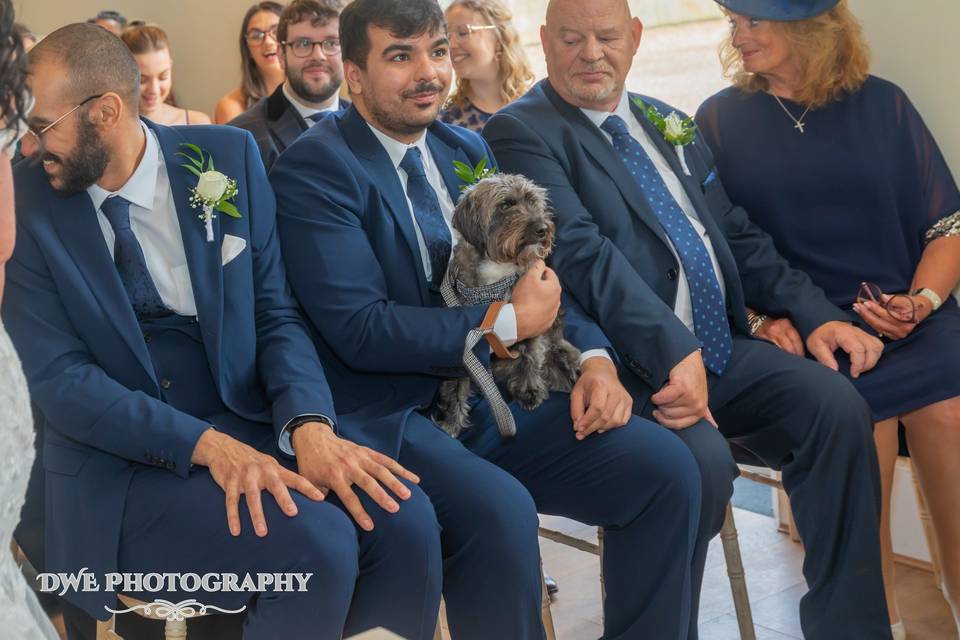 Cutest ring bearer of them all