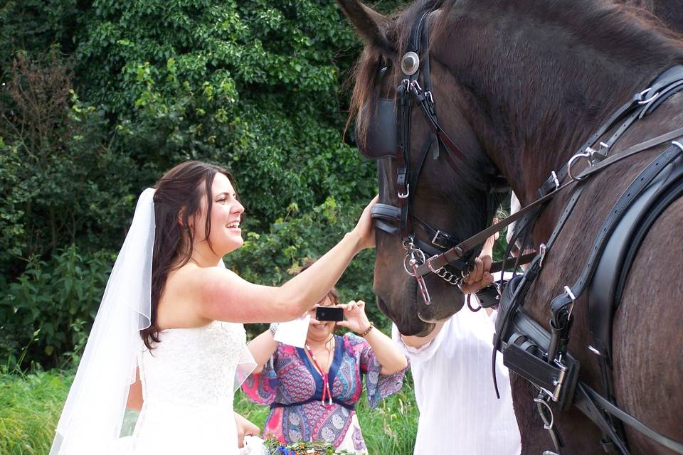 Bride meeting the Shires
