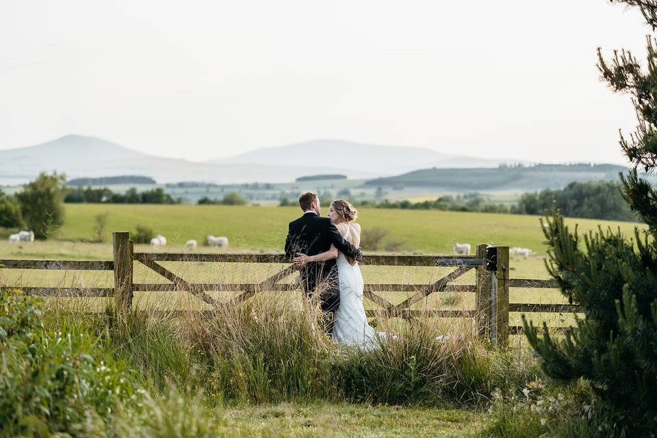 Cheviot views