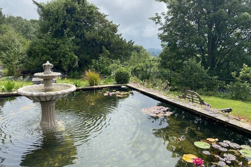 Lovely garden details