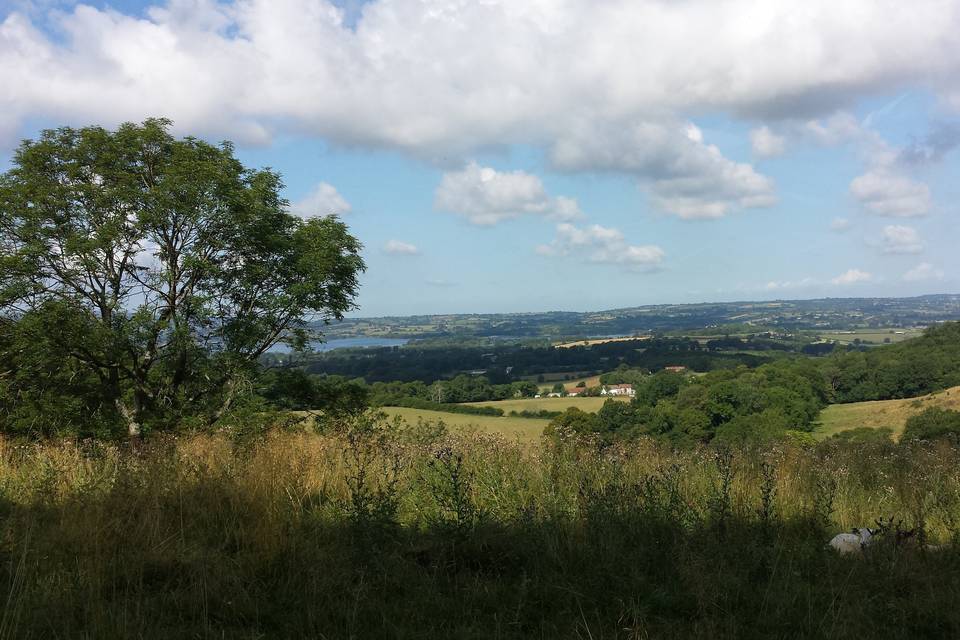 Surrounded by Countryside