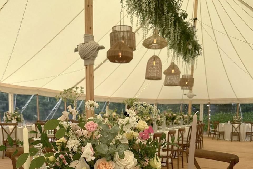 Marquee Flowers