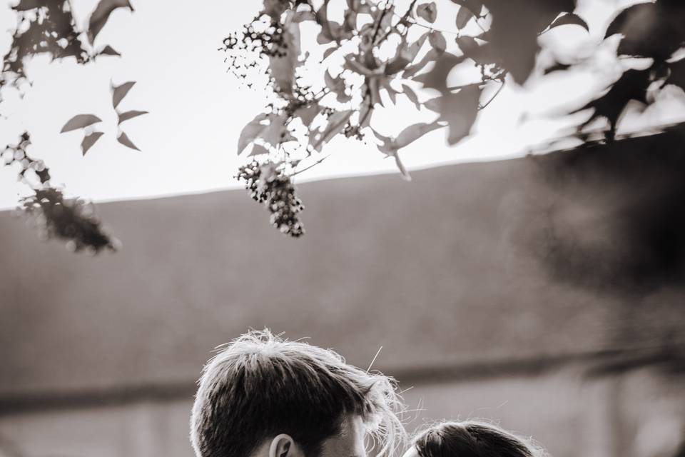 Basing House Portrait