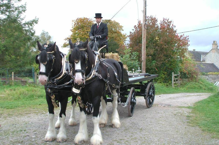 Country wedding with carriage