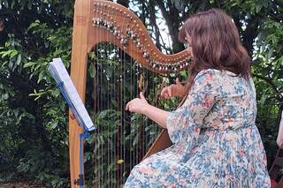 Anna Purver Harpist