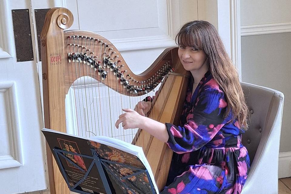 Anna Purver Harpist