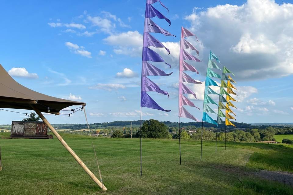 Festival flags