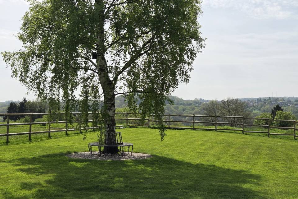 The sit and relax tree