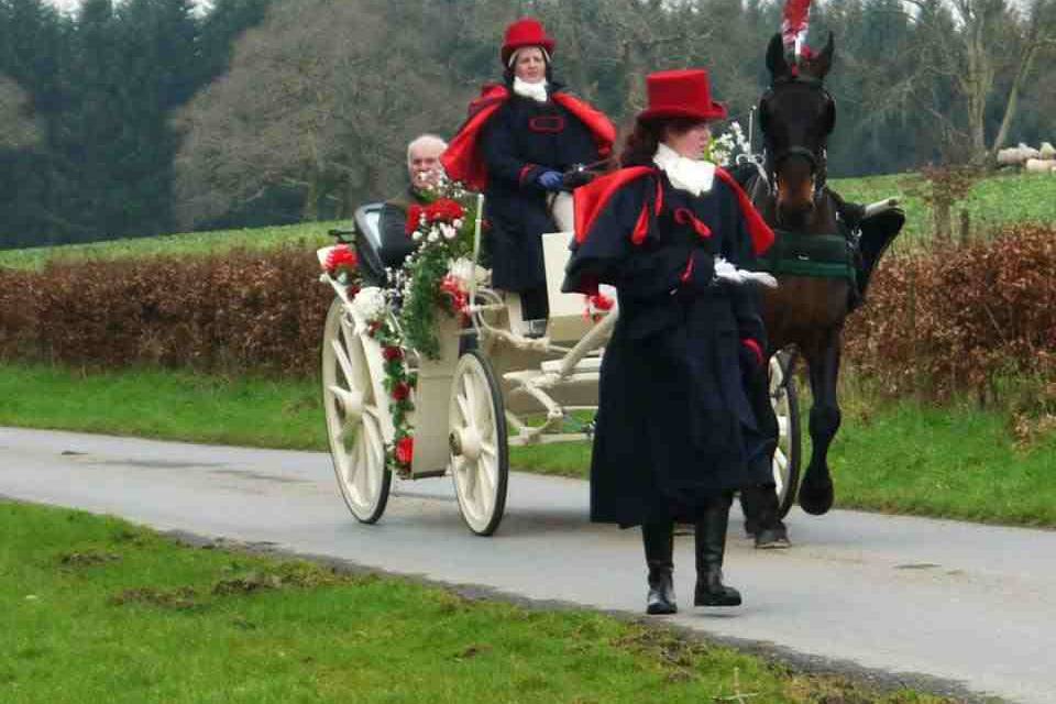 Carriages in the Park