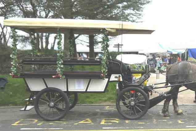 Carriages in the Park
