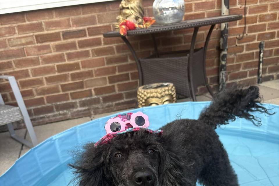 After care boarding