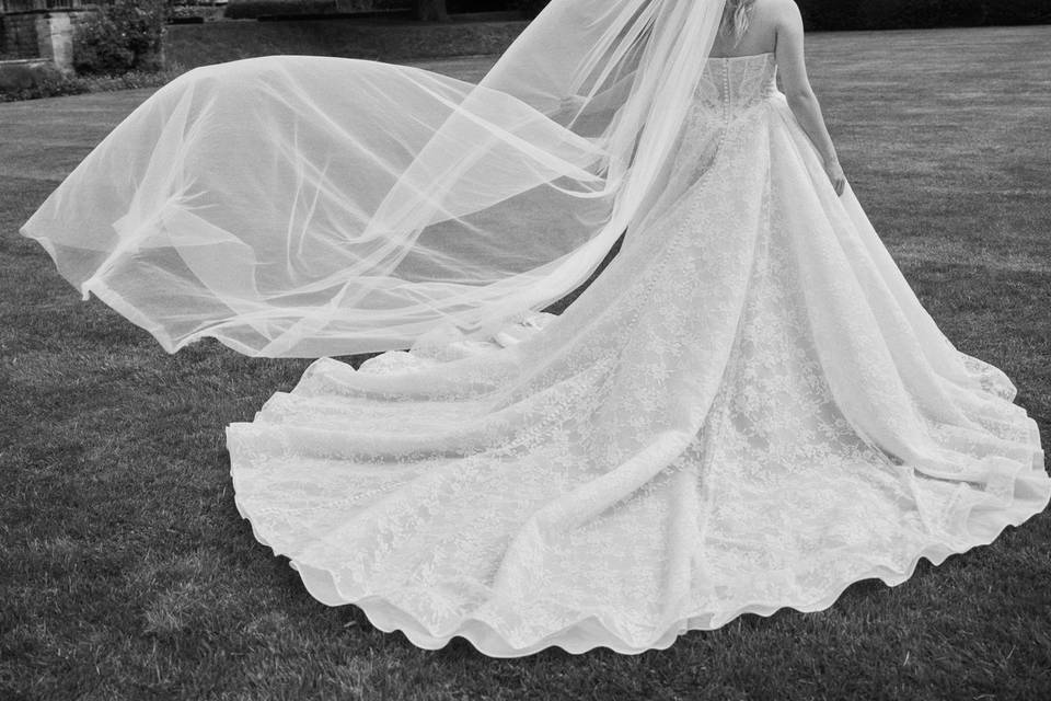 The beauty of motion