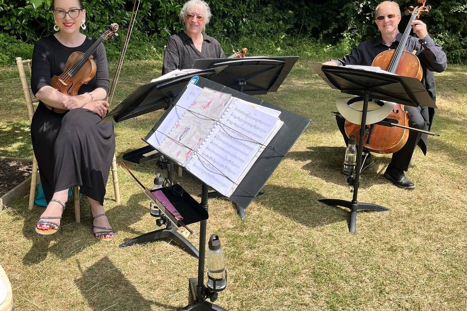 A field wedding