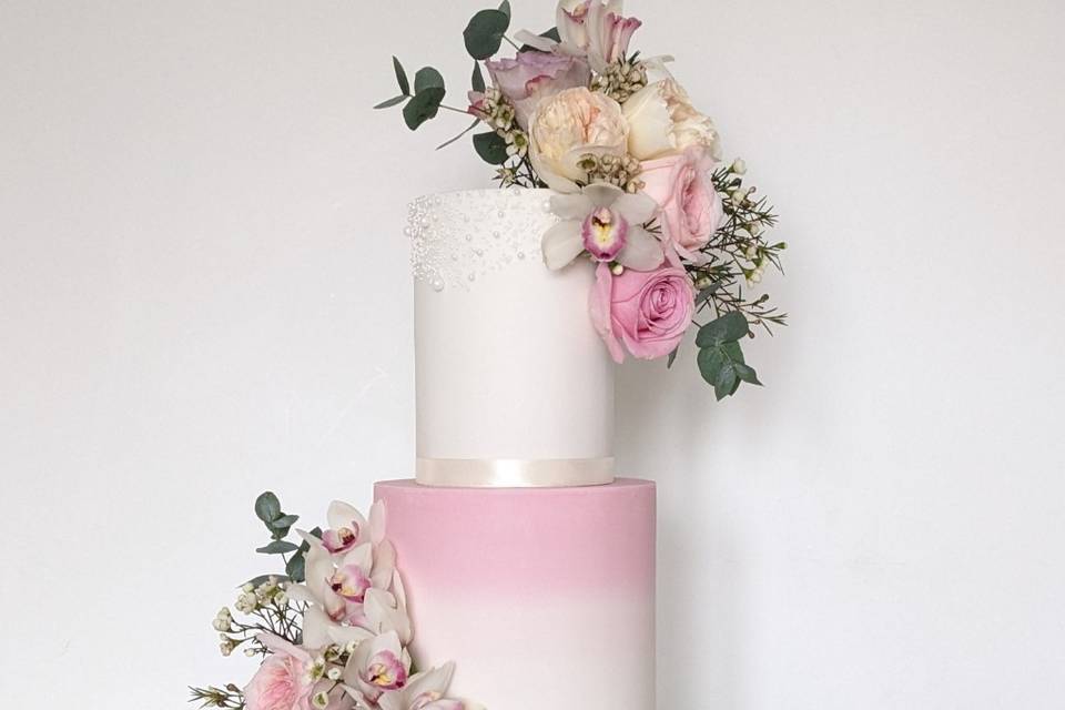 Pink Ombre Sugarpaste