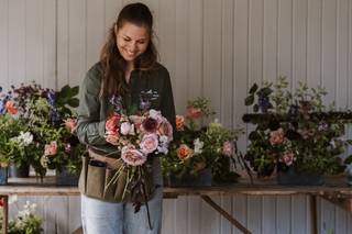 Dorothy Seed Ltd