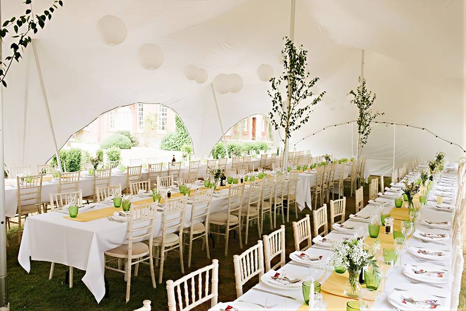 Plan Bee Events