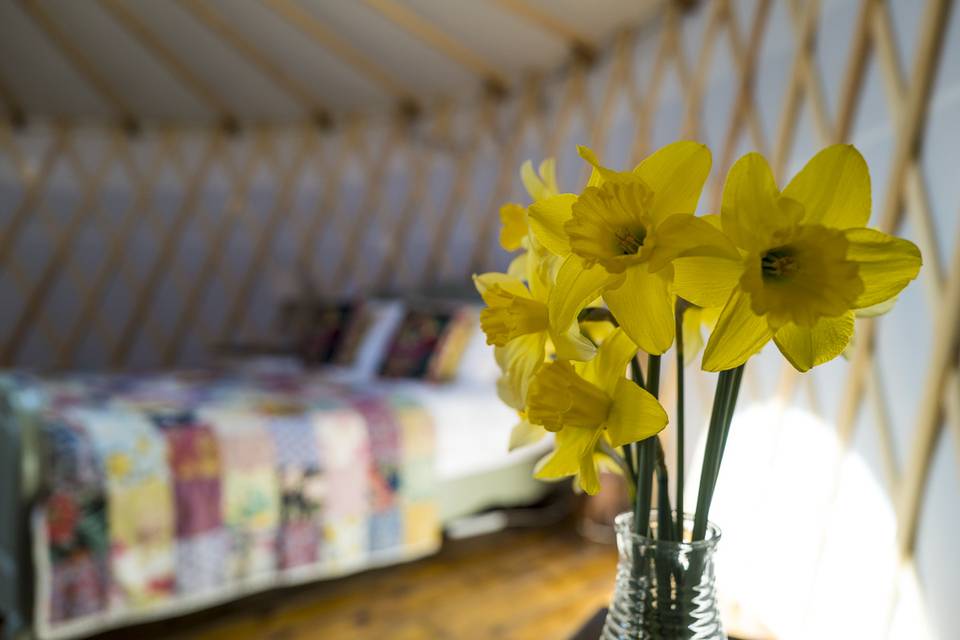 Yurt Interior