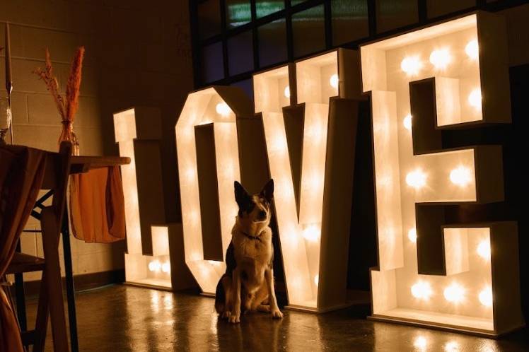 LOVE with a dog