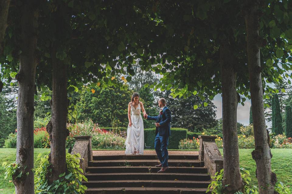 Lime Tree Walk