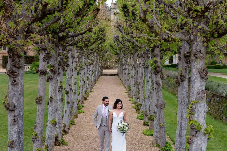 Lime Tree Walk