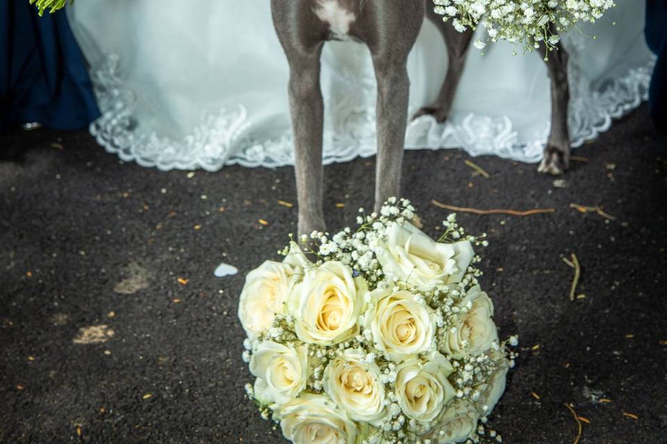 Furry baby bridesmaid