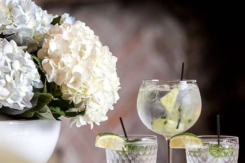 Gin and Tonic