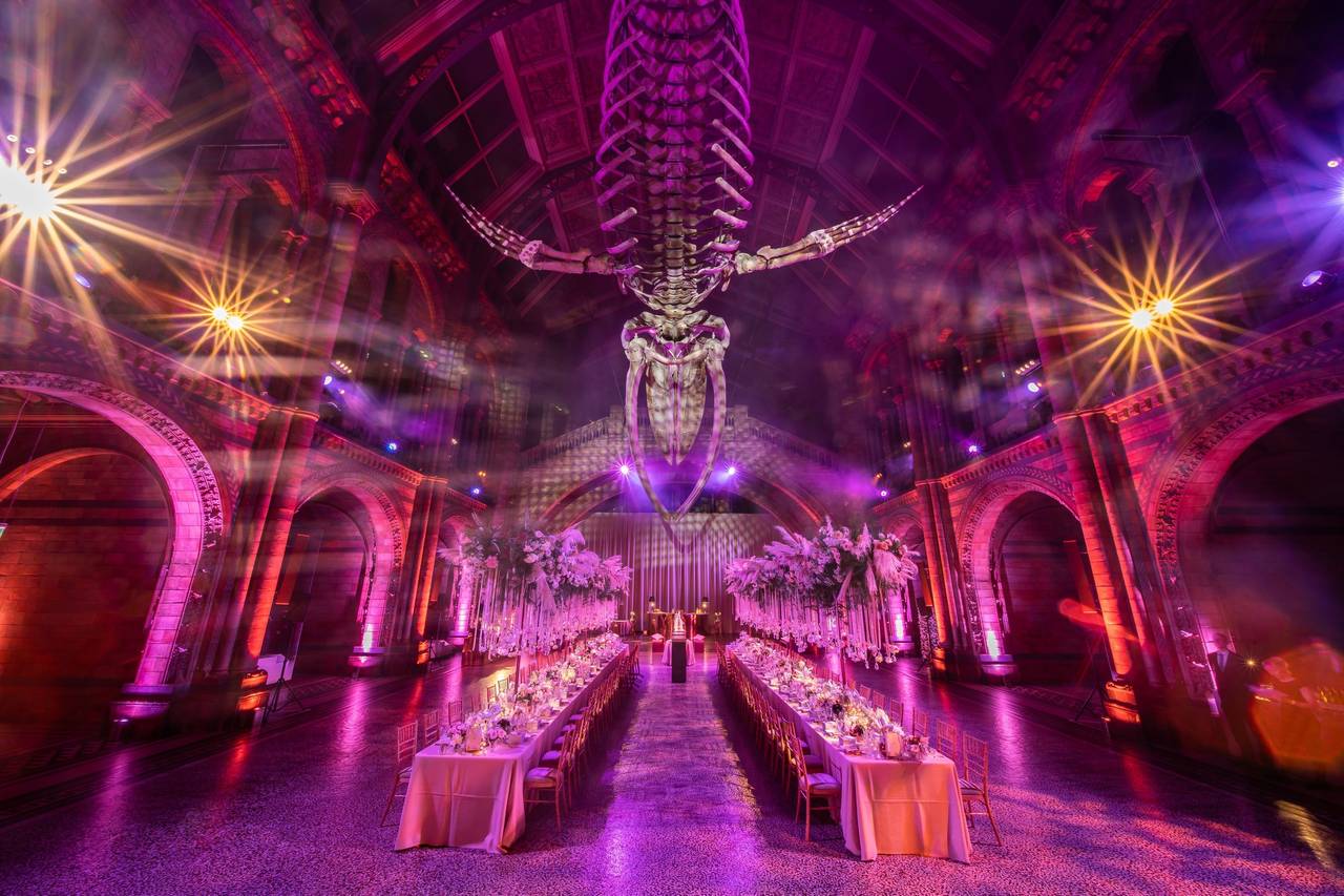 the-natural-history-museum-wedding-venue-kensington-chelsea-west