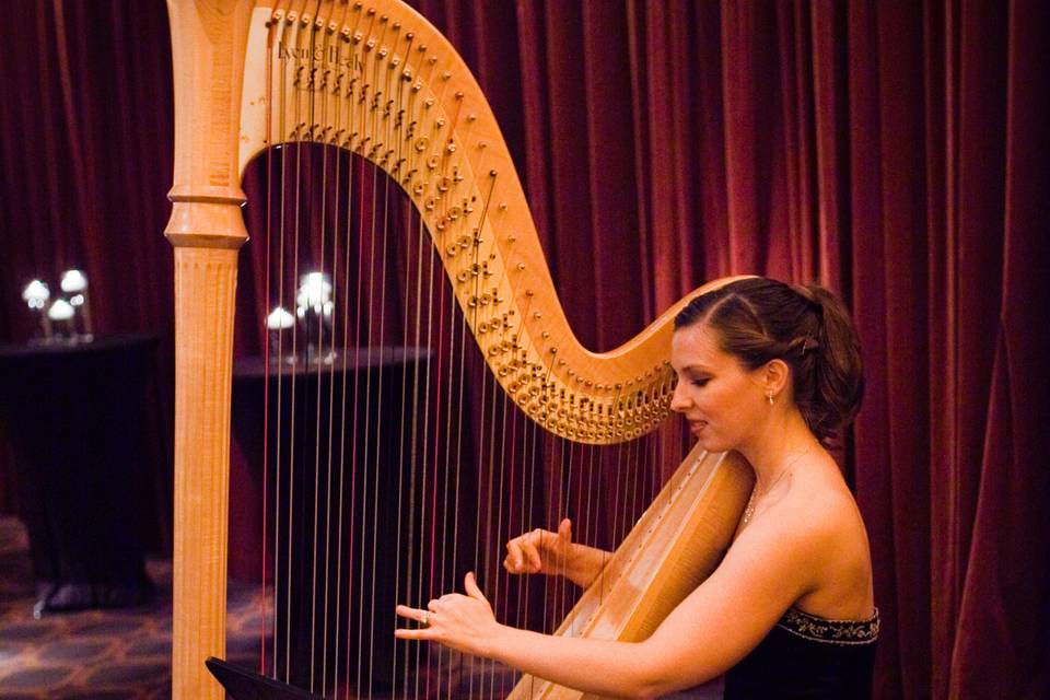 Harpist