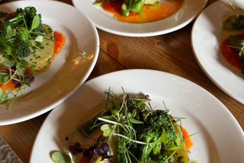 Vegetable Summer Salad