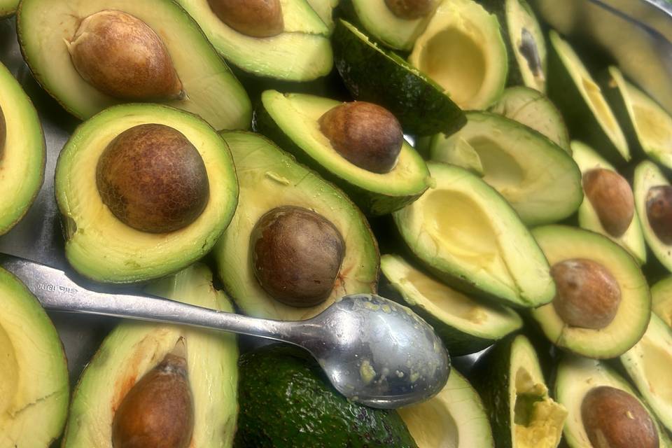 Fresh Avocados