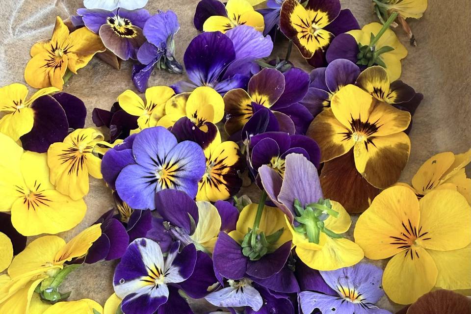 Home grown flowers