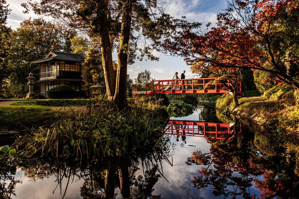Japanese Tea Gardens