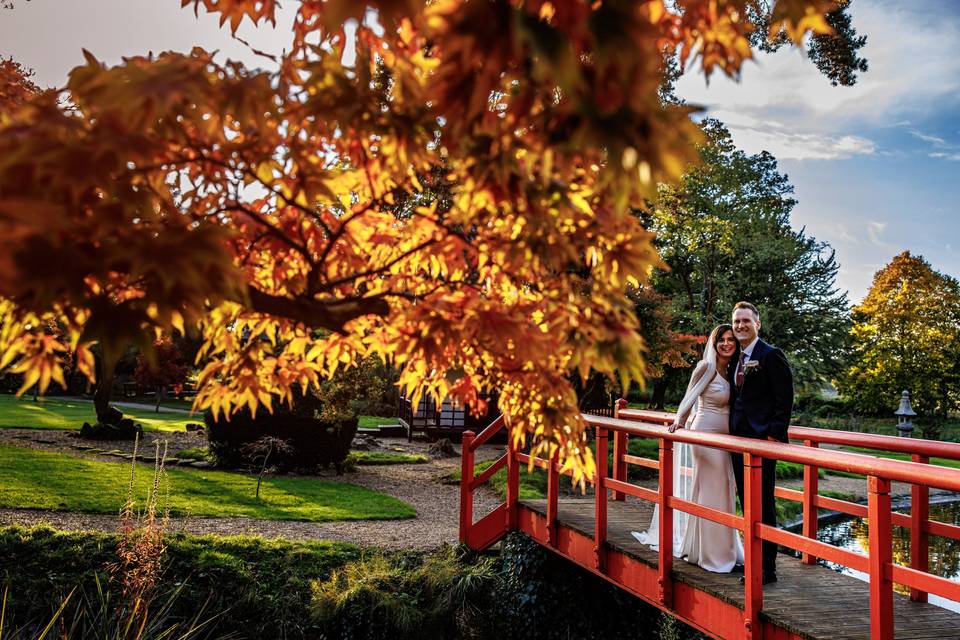 Japanese Tea Gardens