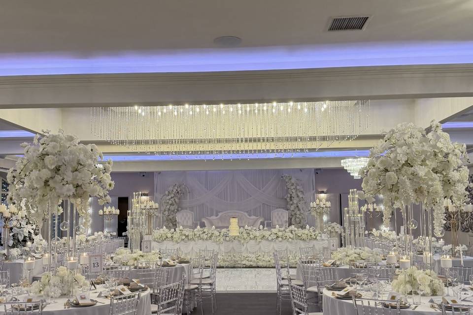 Oriental Orchid 🤍