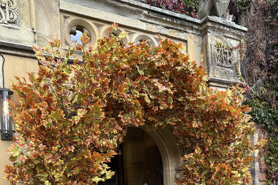 Autumnal Arch🍁