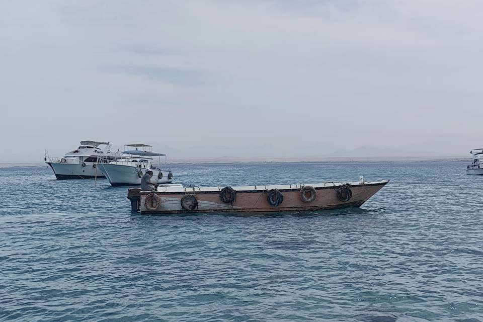The Red Sea
