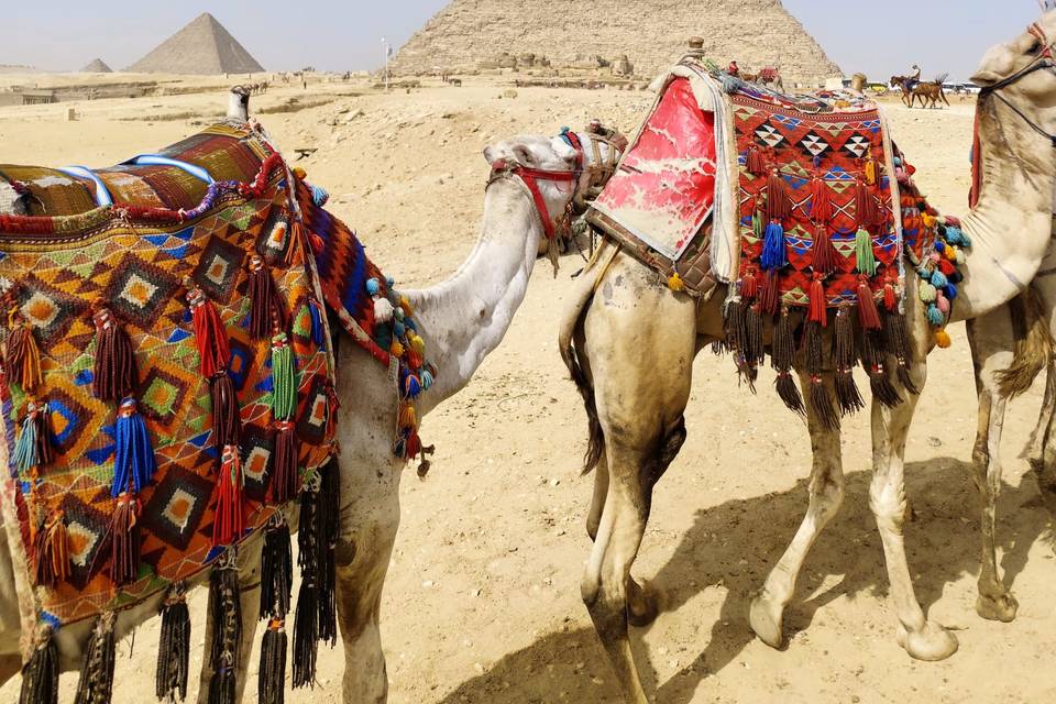 Giza Pyramids