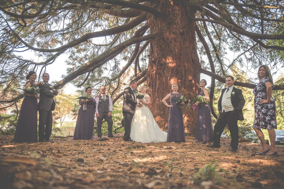 Group photo by the Sequoia