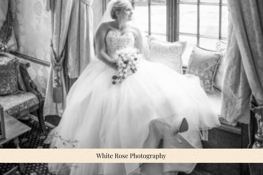 White Rose Photography