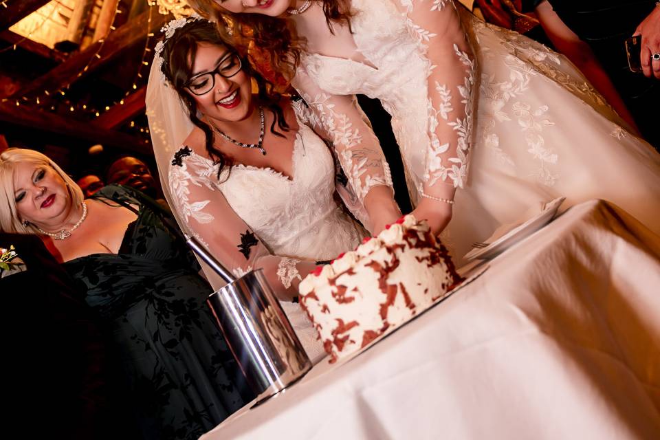 Cutting the cake under lights