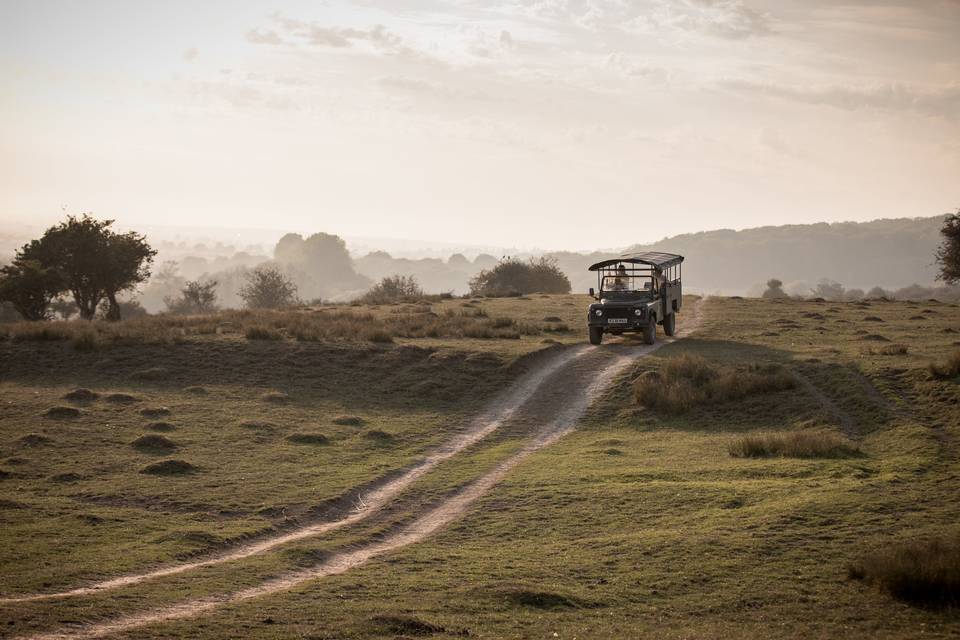 Safaris at Port Lympne