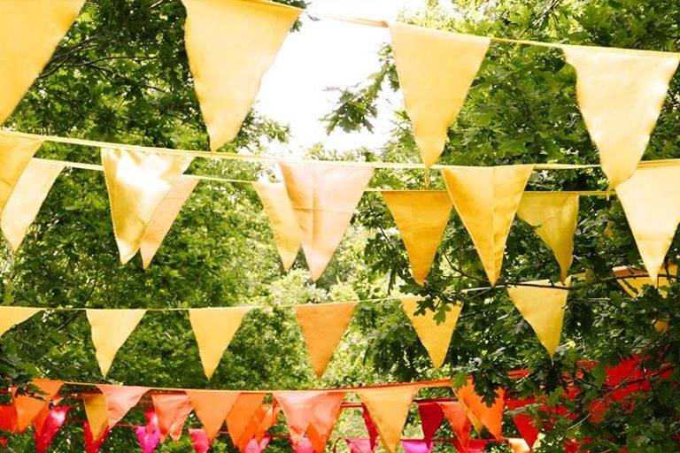 Rainbow bunting