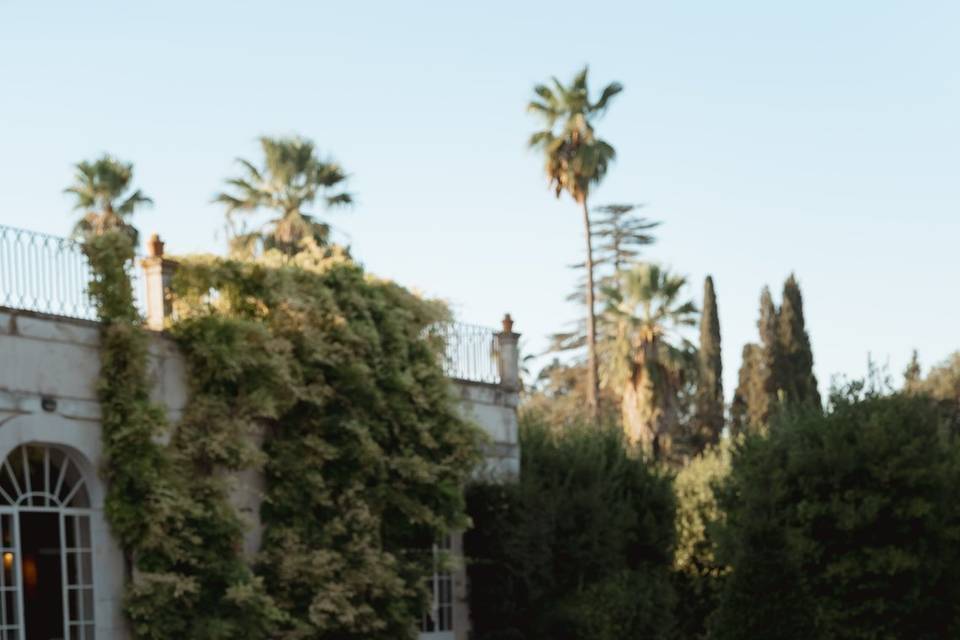 Puglia wedding